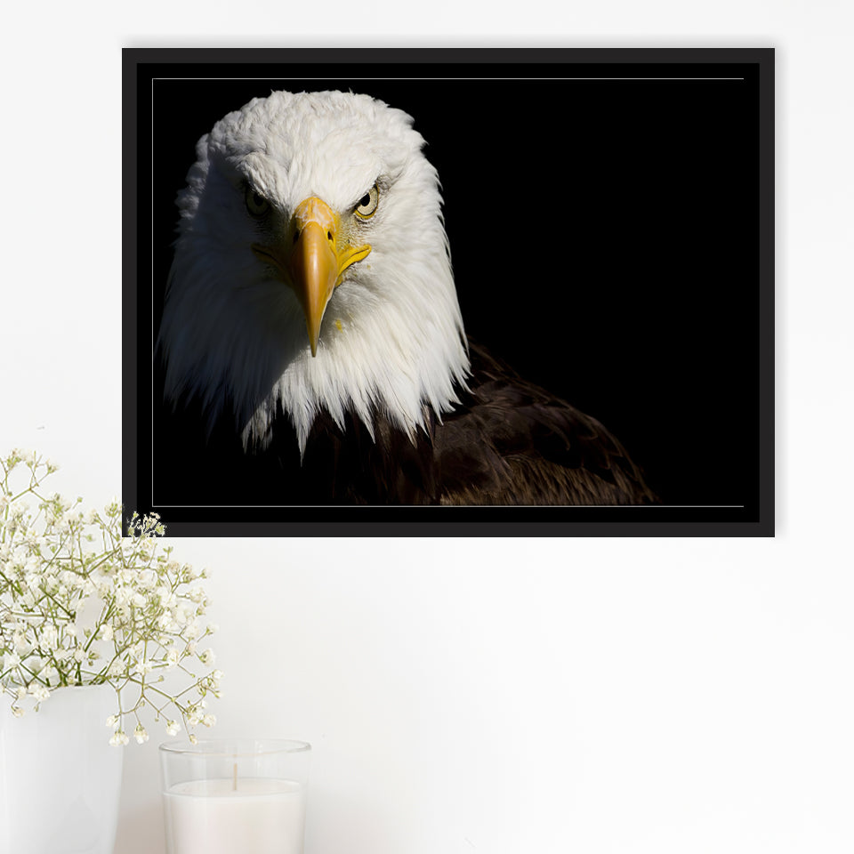 Bald Eagle Framed Canvas Prints Wall Art - Painting Canvas, Wall Decor,  Canvas Art, Floating Frame