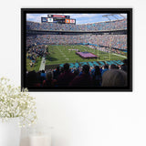 Bank Of America Stadium Framed Canvas Prints Carolina Panthers Wall Art,Sport Stadium Art Prints, Fan Gift