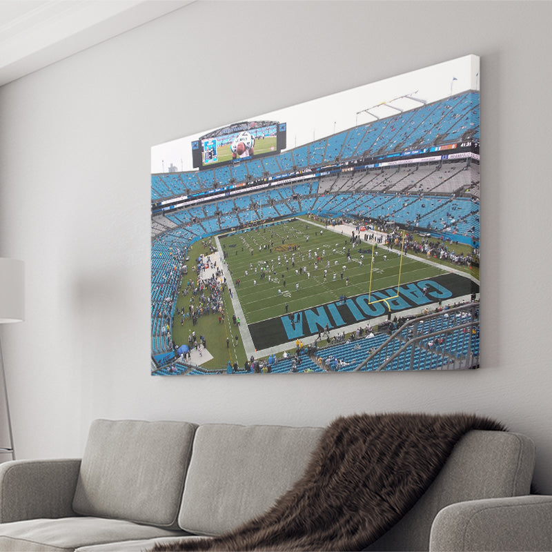 NFL Carolina Panthers StadiumViews Wall Art- Bank of America