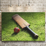 Bat and Ball Cricket, Stadium Canvas, Sport Art, Gift for him, Fan Gift, Canvas Prints Wall Art Decor