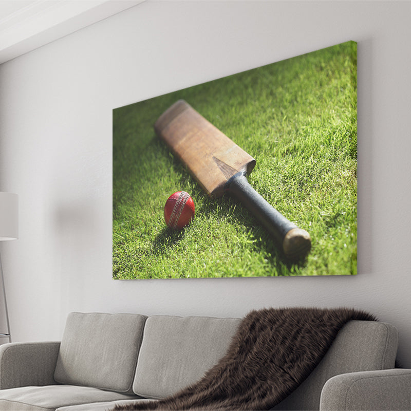 Bat and Ball Cricket, Stadium Canvas, Sport Art, Gift for him, Fan Gift, Canvas Prints Wall Art Decor
