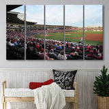 Baum Stadium Crowd, Stadium Canvas, Sport Art, Gift for him, Multi Panels B, Canvas Prints Wall Art Decor