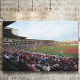 Baum Stadium Crowd, Stadium Canvas, Sport Art, Gift for him, Fan Gift, Canvas Prints Wall Art Decor