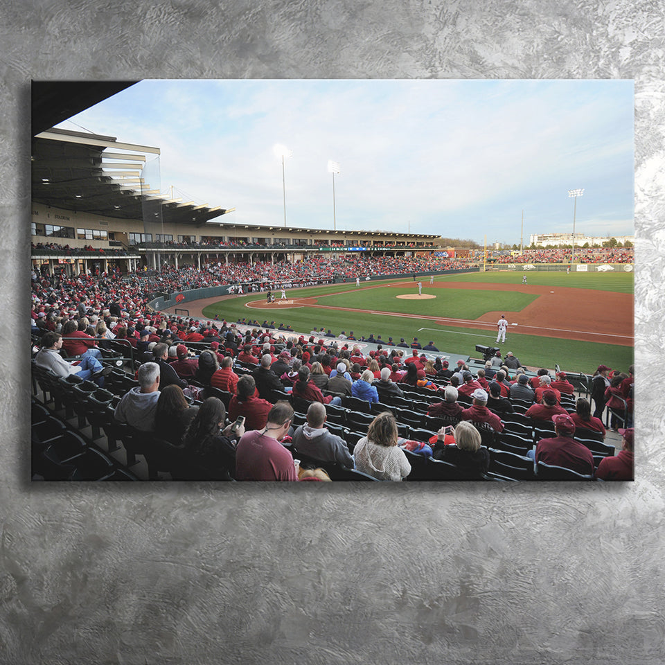 Baum Stadium Crowd, Stadium Canvas, Sport Art, Gift for him, Fan Gift, Canvas Prints Wall Art Decor