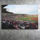 Baum Stadium Crowd, Stadium Canvas, Sport Art, Gift for him, Fan Gift, Canvas Prints Wall Art Decor