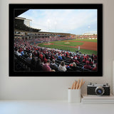 Baum Stadium Crowd, Stadium Canvas, Sport Art, Gift for him, Framed Art Prints Wall Art Decor, Framed Picture