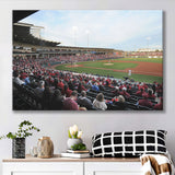 Baum Stadium Crowd, Stadium Canvas, Sport Art, Gift for him, Fan Gift, Canvas Prints Wall Art Decor