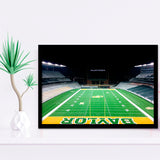 Baylor Bears Wall Art McLane Stadium Art Prints American,Sport Stadium Art Prints, Fan Gift, Wall Decor