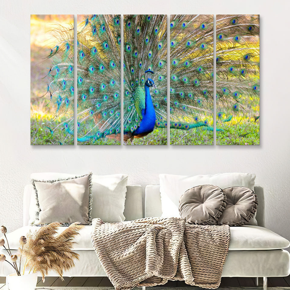 Beautiful Blue Green Peacock 5 Pieces B Canvas Prints Wall Art - Painting Canvas, Multi Panels,5 Panel, Wall Decor