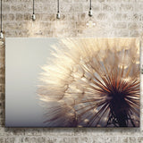 Beautiful Dandelion Flower Canvas Prints Wall Art - Painting Canvas, Art Prints, Wall Decor, Home Decor, Prints for Sale
