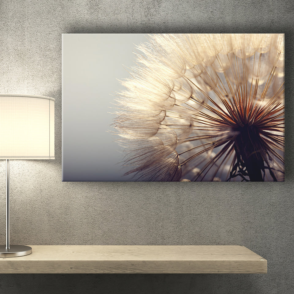 Beautiful Dandelion Flower Canvas Prints Wall Art - Painting Canvas, Art Prints, Wall Decor, Home Decor, Prints for Sale