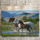 Beautiful Horse In A Mountain View Canvas Prints Wall Art - Painting Canvas, Home Wall Decor, Painting Prints, For Sale