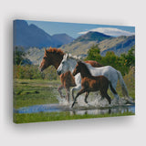Beautiful Horse In A Mountain View Canvas Prints Wall Art - Painting Canvas, Home Wall Decor, Painting Prints, For Sale