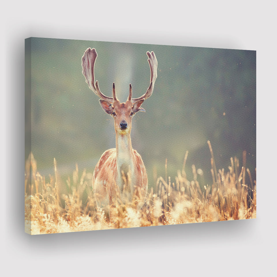 Beautiful Deer In Field Canvas Prints Wall Art - Painting Canvas,Wall Decor, Painting Prints,For Sale