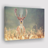 Beautiful Deer In Field Canvas Prints Wall Art - Painting Canvas,Wall Decor, Painting Prints,For Sale