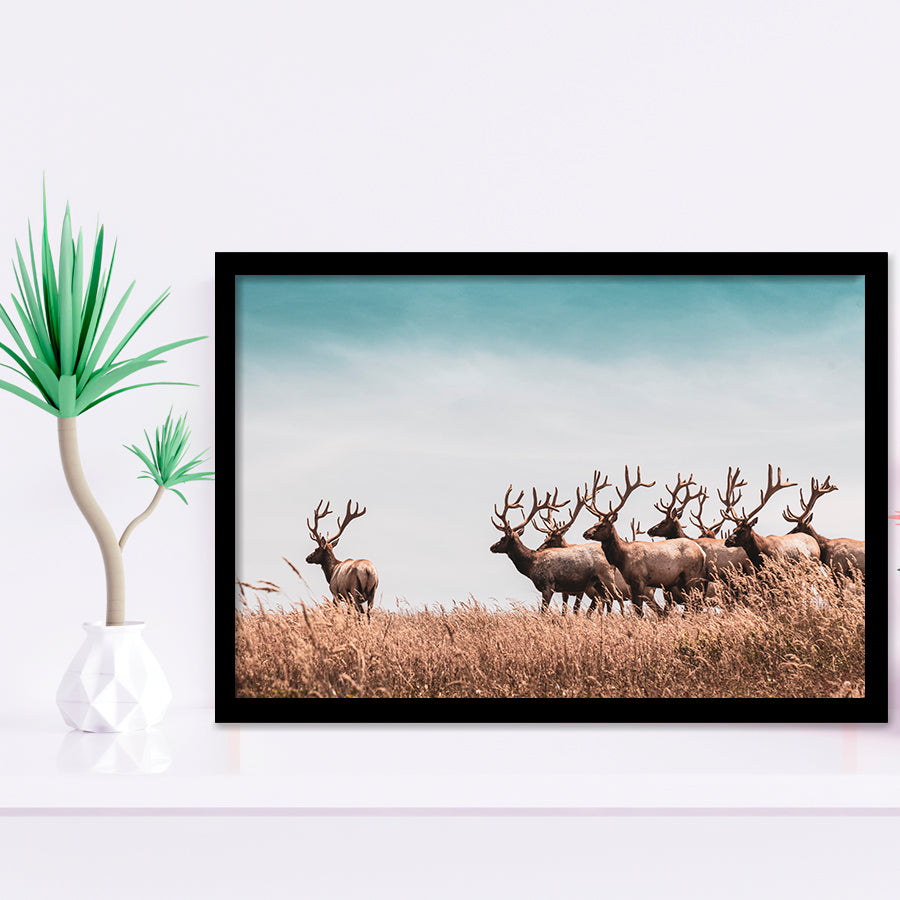 Beautiful Herd Of Deer In The Meadow Framed Art Prints Wall Decor - Painting Prints,Wall Art, Framed Picture,For Sale