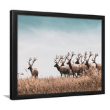 Beautiful Herd Of Deer In The Meadow Framed Art Prints Wall Decor - Painting Prints,Wall Art, Framed Picture,For Sale