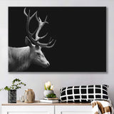 Beautifull Deer Head Black And White Hunting Decor Canvas Prints Wall Art - Painting Canvas,Wall Decor, Painting Prints,For Sale