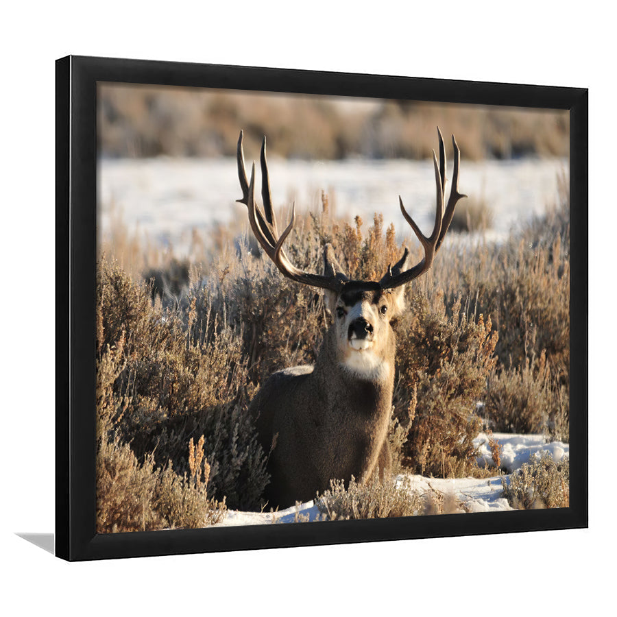 Beautifull Deer Portrait Framed Art Prints Wall Decor - Painting Prints,Wall Art, Framed Picture,For Sale