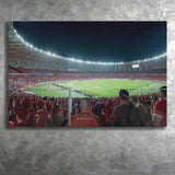 Beira Rio Stadium Brazil, Stadium Canvas, Sport Art, Gift for him, Fan Gift, Canvas Prints Wall Art Decor