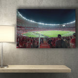 Beira Rio Stadium Brazil, Stadium Canvas, Sport Art, Gift for him, Fan Gift, Canvas Prints Wall Art Decor