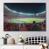 Beira Rio Stadium Brazil, Stadium Canvas, Sport Art, Gift for him, Fan Gift, Canvas Prints Wall Art Decor