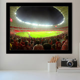 Beira Rio Stadium, Stadium Canvas, Sport Art, Gift for him, Framed Art Prints Wall Art Decor, Framed Picture