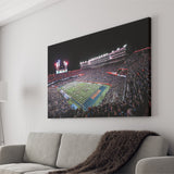 Ben Hill Griffin Stadium, Stadium Canvas, Sport Art, Gift for him, Fan Gift, Canvas Prints Wall Art Decor