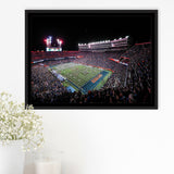Ben Hill Griffin Stadium, Stadium Canvas, Sport Art, Gift for him, Framed Canvas Prints Wall Art Decor, Framed Picture