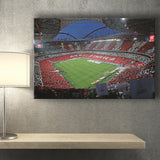 Benfica Stadium, Stadium Canvas, Sport Art, Gift for him, Fan Gift, Canvas Prints Wall Art Decor