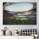 Benfica World Soccer Stadium, Stadium Canvas, Sport Art, Gift for him, Fan Gift, Canvas Prints Wall Art Decor