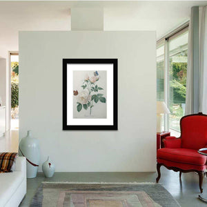 Bengal rose_Pierre Joseph Redoute-Art Print,Frame Art,Plexiglass Cover