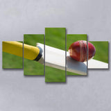 Best Cricket Ball, Stadium Canvas, Sport Art, Large Canvas, Multi Panels, Canvas Prints Wall Art Decor