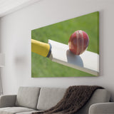 Best Cricket Ball, Stadium Canvas, Sport Art, Gift for him, Fan Gift, Canvas Prints Wall Art Decor