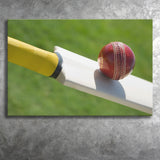 Best Cricket Ball, Stadium Canvas, Sport Art, Gift for him, Fan Gift, Canvas Prints Wall Art Decor