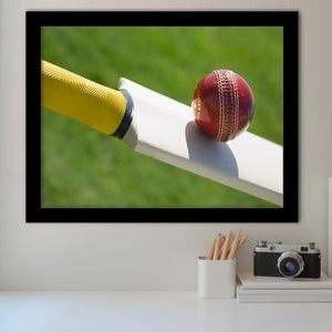 Best Cricket Ball, Stadium Canvas, Sport Art, Gift for him, Framed Art Prints Wall Art Decor, Framed Picture
