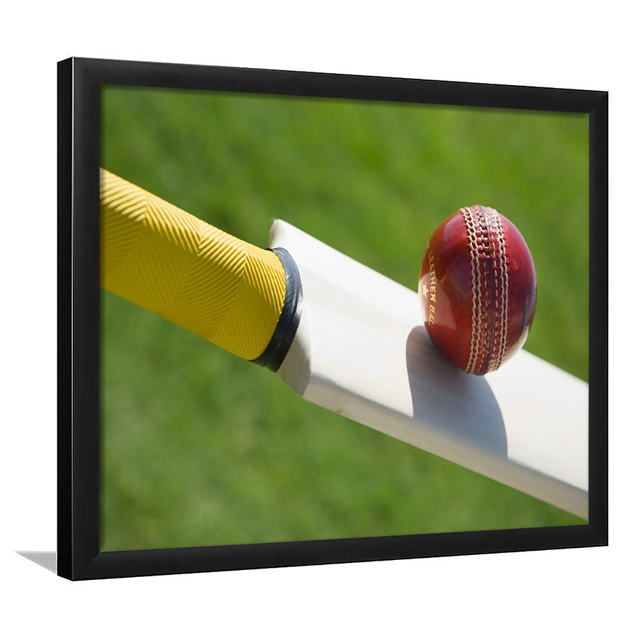 Best Cricket Ball, Stadium Canvas, Sport Art, Gift for him, Framed Art Prints Wall Art Decor, Framed Picture