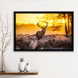 Big Buck Sunset Framed Canvas Prints Wall Art - Painting Prints, Wall Decor, Floating Frame