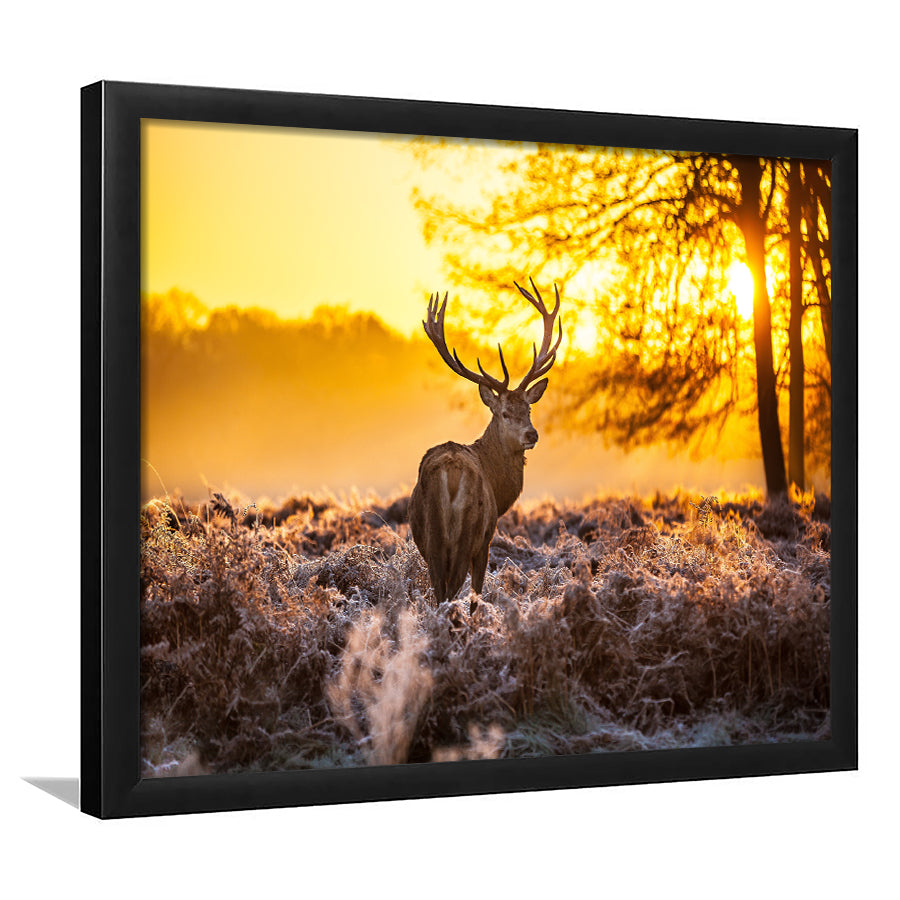 Big Buck Sunset Framed Art Prints Wall Decor - Painting Prints, Framed Picture