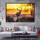 Big Buck Sunset Framed Canvas Prints Wall Art - Painting Prints, Wall Decor, Floating Frame