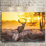 Big Buck Sunset Canvas Prints Wall Art - Painting Prints, Wall Decor, Art Prints