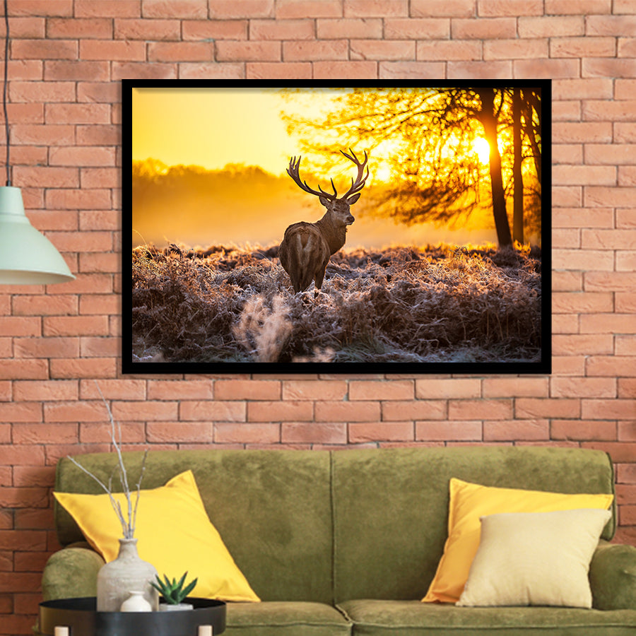 Big Buck Sunset Framed Art Prints Wall Decor - Painting Prints, Framed Picture