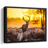 Big Buck Sunset Framed Canvas Prints Wall Art - Painting Prints, Wall Decor, Floating Frame