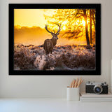 Big Buck Sunset Framed Art Prints Wall Decor - Painting Prints, Framed Picture