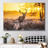 Big Buck Sunset Canvas Prints Wall Art - Painting Prints, Wall Decor, Art Prints