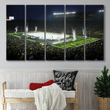 Big Chill in Michigan, Stadium Canvas, Sport Art, Gift for him, Multi Panels B, Canvas Prints Wall Art Decor
