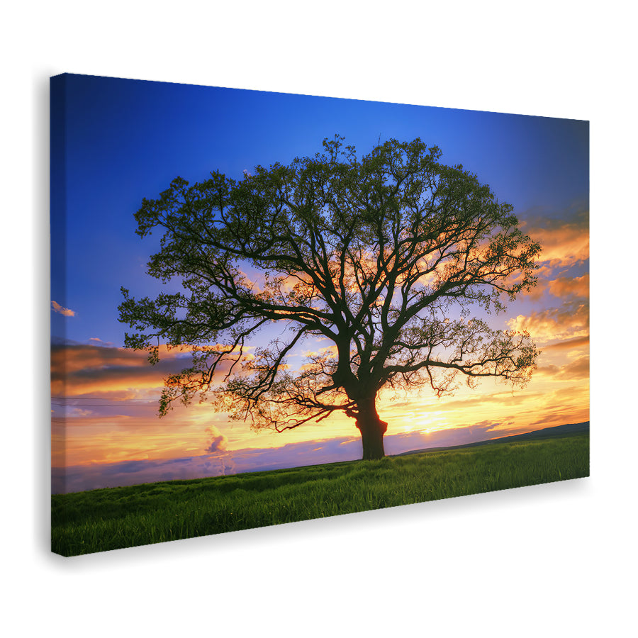 Big Tree Silhouette Canvas Wall Art - Canvas Prints, Prints for Sale, Canvas Painting, Canvas On Sale