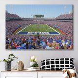 Bills Stadium in New York, Stadium Canvas, Sport Art, Gift for him, Fan Gift, Canvas Prints Wall Art Decor