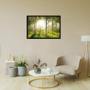 Birch Trees Forest-Forest art, Art print, Plexiglass Cover