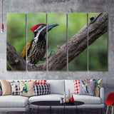 Bird Pileated Woodpecker 5 Pieces B Canvas Prints Wall Art - Painting Canvas, Multi Panels,5 Panel, Wall Decor